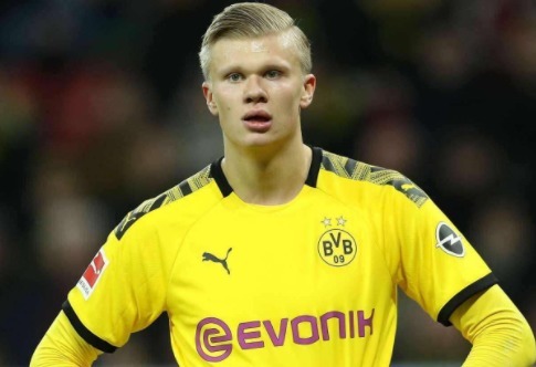 迷与读者而 迷与读者而